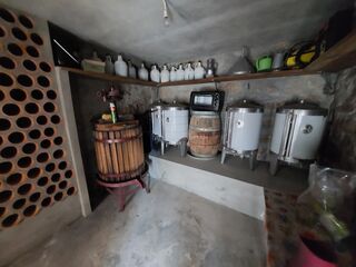 -210516151_ID29fb6d01-0000-0500-0000-0000118eb906.jpg
