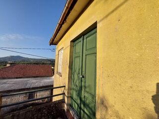-210573237_IDf82e6901-0000-0500-0000-000011ad288d.jpg