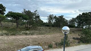 -210635007_ID61437001-0000-0500-0000-000011d26601.jpg
