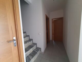 -210655160_ID10cb7001-0000-0500-0000-000011e01ed3.jpg
