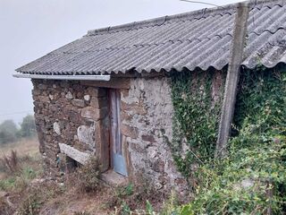 -210657713_ID98f17001-0000-0500-0000-000011e0963a.jpg