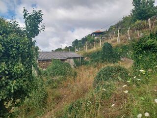 -210657713_ID98f17001-0000-0500-0000-000011e0963e.jpg