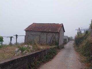 -210657713_ID98f17001-0000-0500-0000-000011e09643.jpg