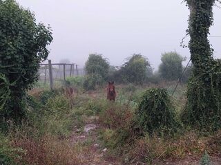 -210657713_ID98f17001-0000-0500-0000-000011e09644.jpg