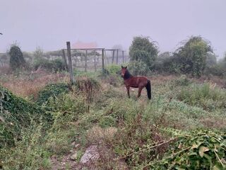 -210657713_ID98f17001-0000-0500-0000-000011e09647.jpg
