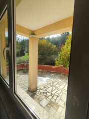 -210827249_ID5dbf7401-0000-0500-0000-0000123befe7.jpg