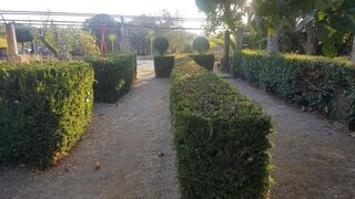 -210834230_ID3ccc7401-0000-0500-0000-0000123f1391.jpg