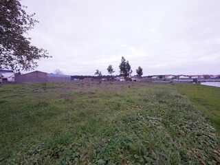 -210909146_IDde7b7601-0000-0500-0000-00001264d2d6.jpg