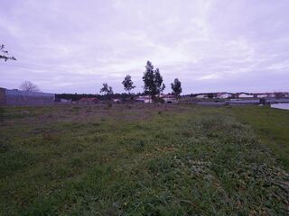 -210909146_IDde7b7601-0000-0500-0000-00001264d2d7.jpg