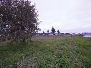 -210909146_IDde7b7601-0000-0500-0000-00001264d2d8.jpg