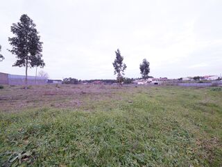 -210909146_IDde7b7601-0000-0500-0000-00001264d2d9.jpg