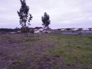 -210909146_IDde7b7601-0000-0500-0000-00001264d2db.jpg