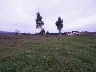 -210909146_IDde7b7601-0000-0500-0000-00001264d3e2.jpg