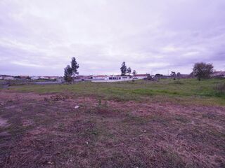 -210909146_IDde7b7601-0000-0500-0000-00001264d677.jpg