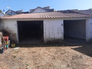-210948239_ID9d2c7701-0000-0500-0000-000012752092.jpg