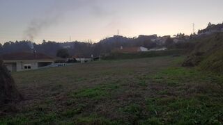 -210993937_ID69e37701-0000-0500-0000-0000128774fe.jpg