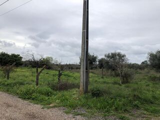 -211039985_IDe6147901-0000-0500-0000-000012a82e41.jpg