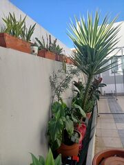 -211201022_ID560c7c01-0000-0500-0000-000013089791.jpg