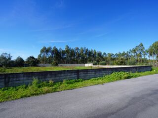 -211293544_ID93387e01-0000-0500-0000-000013437283.jpg
