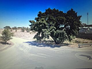-211336156_ID10f47e01-0000-0500-0000-00001359ac7a.jpg