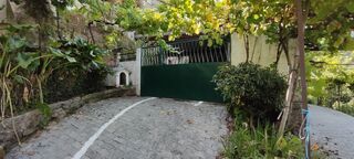 -211362643_ID06f47e01-0000-0500-0000-0000135bcd23.jpg