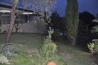 -211651967_IDf8438501-0000-0500-0000-000014155ab1.jpg