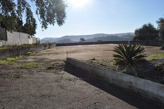 -211651967_IDf8438501-0000-0500-0000-000014155ad9.jpg