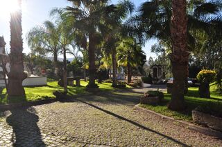 -211651967_IDf8438501-0000-0500-0000-000014155aea.jpg