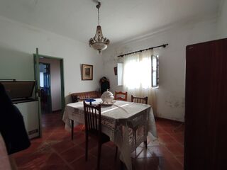 -211707263_ID268d8601-0000-0500-0000-0000143c0d4b.jpg