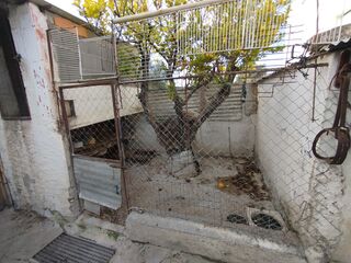 -211707263_ID268d8601-0000-0500-0000-0000143c0d5c.jpg