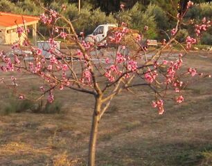-211719320_IDd2368501-0000-0500-0000-0000141ffe86.JPG
