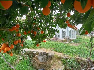 -211719320_IDd2368501-0000-0500-0000-0000141ffea9.jpg