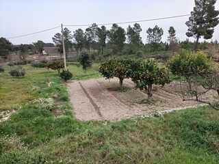 -211719320_IDd2368501-0000-0500-0000-0000141ffeab.jpg
