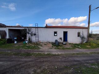 -212162361_IDa9d28d01-0000-0500-0000-0000149bdf0a.jpg