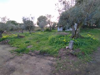 -212162361_IDa9d28d01-0000-0500-0000-0000149bdf0f.jpg