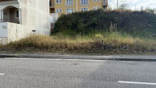 -212974032_ID969c9a01-0000-0500-0000-00001583490d.jpg
