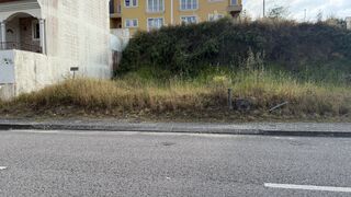 -212974032_ID969c9a01-0000-0500-0000-000015834910.jpg