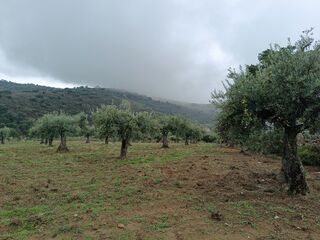 -212976024_IDcdcb9a01-0000-0500-0000-000015841330.jpg