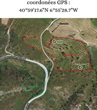 -212976024_IDcdcb9a01-0000-0500-0000-000015841d27.jpg
