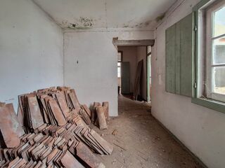 -212981166_IDc6d79a01-0000-0500-0000-000015864f88.jpg