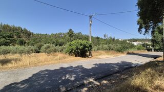 -213389862_IDaad9a101-0000-0500-0000-00001610cf38.jpg