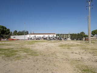 -870409525_4f082441-5330-48af-aa62-2c58430fbb48.jpg