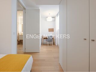 -871058356_a5cd0a21-de3e-4be0-8664-efb4dd817d9a.jpg