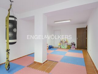-872495602_fd73a48e-b1ab-4745-a71f-5dd1c40f0d51.jpg