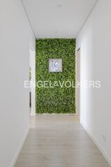 -875381488_0cc71ec4-8ca8-4b48-8cf8-6a0dbfa68be4.jpg