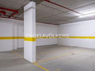 -876475013_50aae4ca-ae5e-4807-9686-6584f79e2ef4.jpg