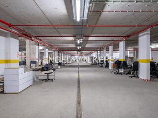 -876475013_b4154e06-877c-4102-9c04-7fdc3840f8c3.jpg
