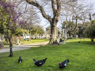 -880164643_c7e4ddeb-a796-4ddd-8c37-edf659657b2f.jpg