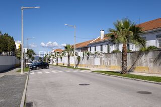 -881355835_396ff10f-ed73-4bd2-8124-fe10b2634167.jpg