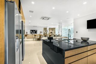 -881533256_9b2cf58d-38e2-4de1-bce5-233ef0c90a19.jpg